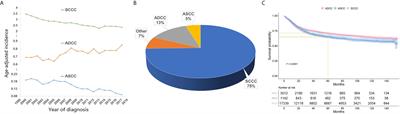 Adenosquamous Carcinoma of the Cervix: A Population-Based Analysis